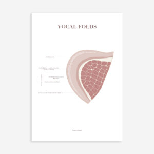 A4 Poster - Vocal Folds